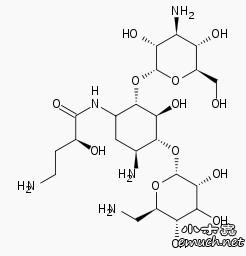 卡那霉素和丁胺卡那霉素有啥区别和联系?