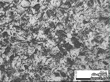 【交流】不锈钢的金相