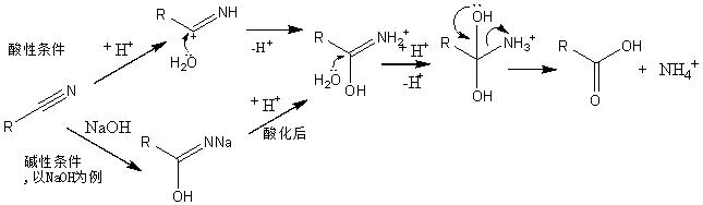 求助氰基水解成羧基的反应的机理